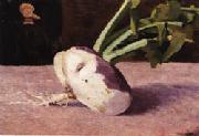 Odilon Redon Celery Root China oil painting reproduction